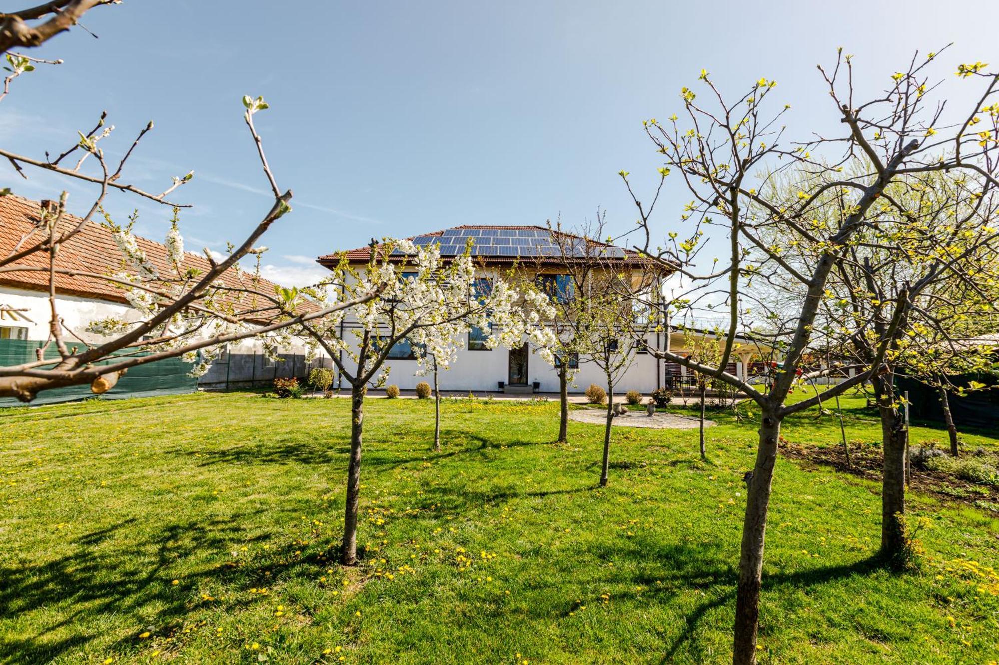 Gasthaus Sacalaz Hotel Timişoara Buitenkant foto
